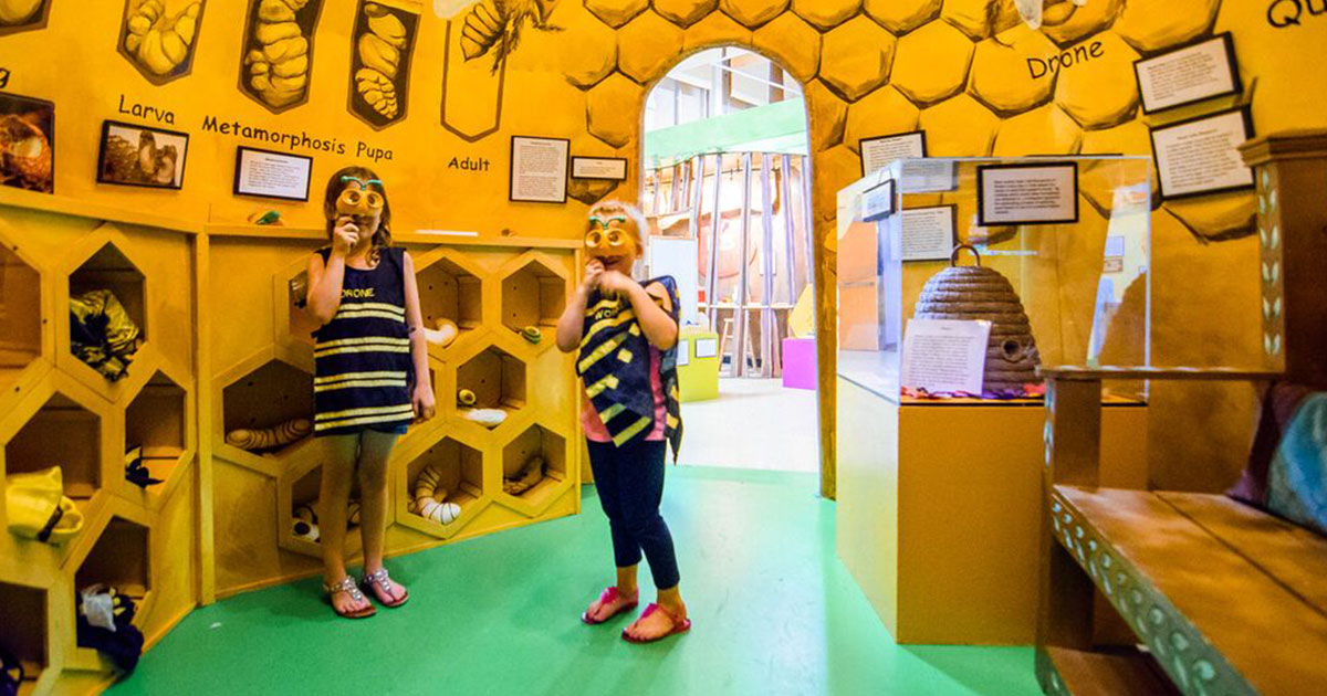 Field Trips to The Discovery Center of the Southern Tier