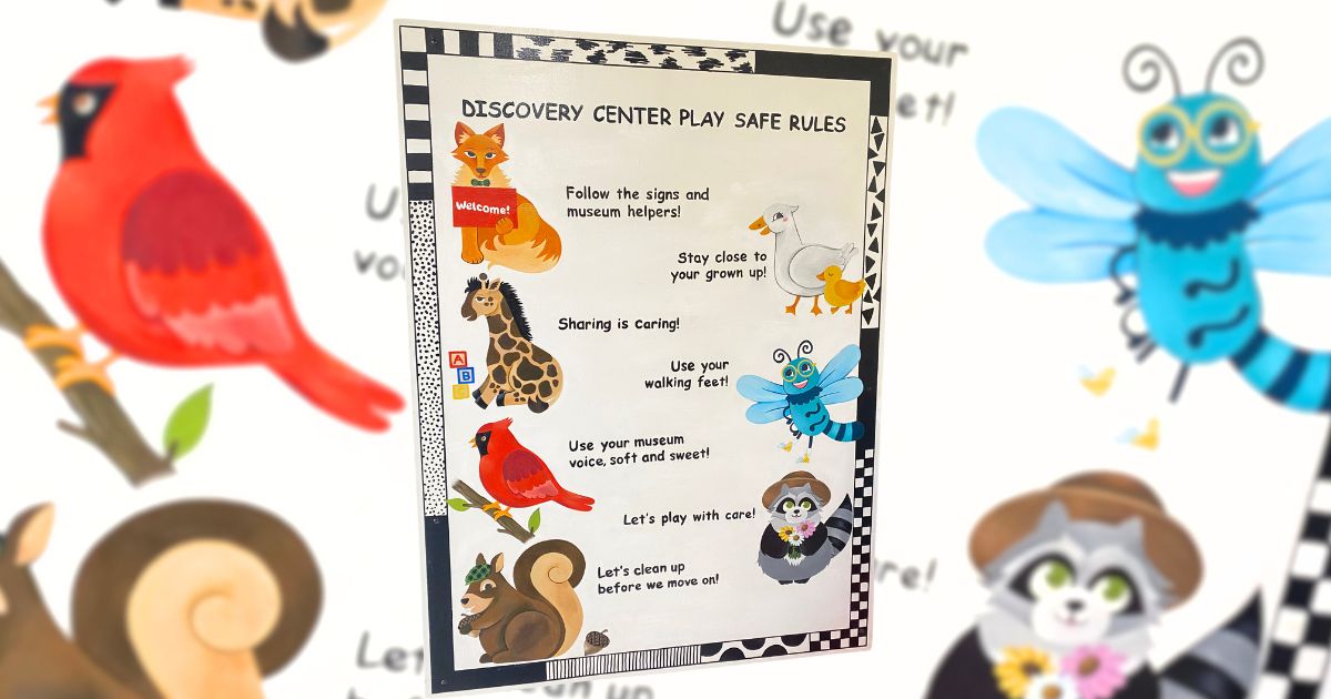 The Discovery Center Museum Rules