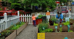 peter rabbits garden discovery center