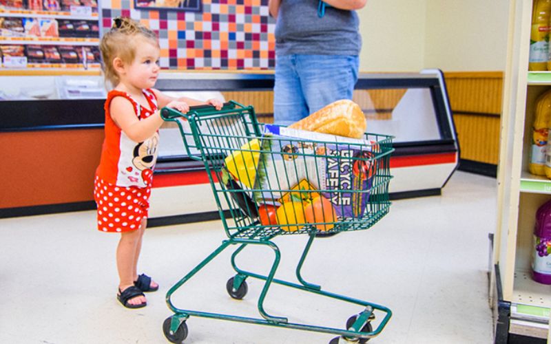 Weis Markets Exhibit The Discovery Center